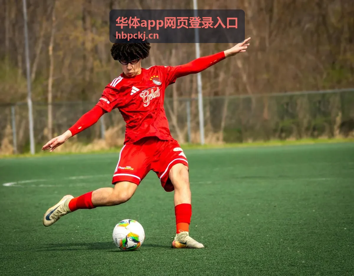 华体app登录异常风险提醒界面